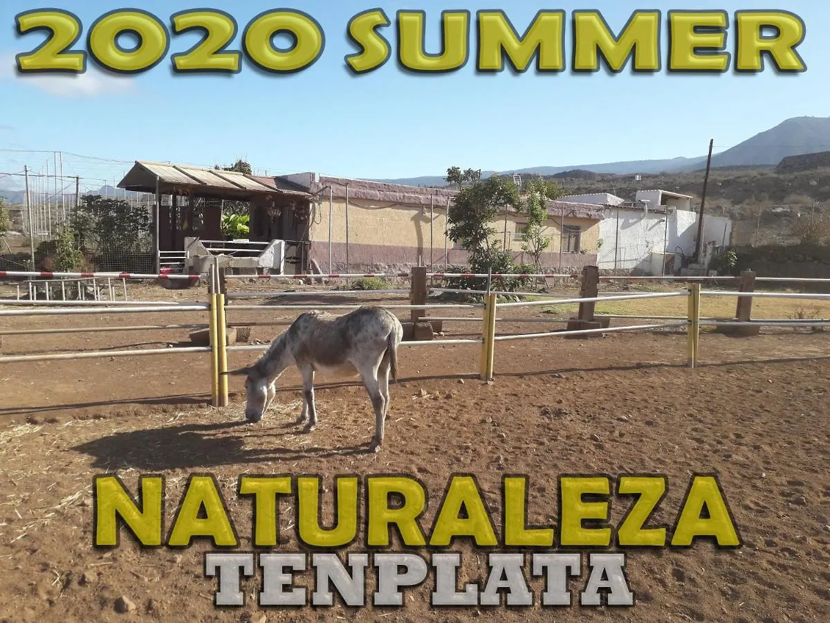 Tenplata Tijoco de Abajo