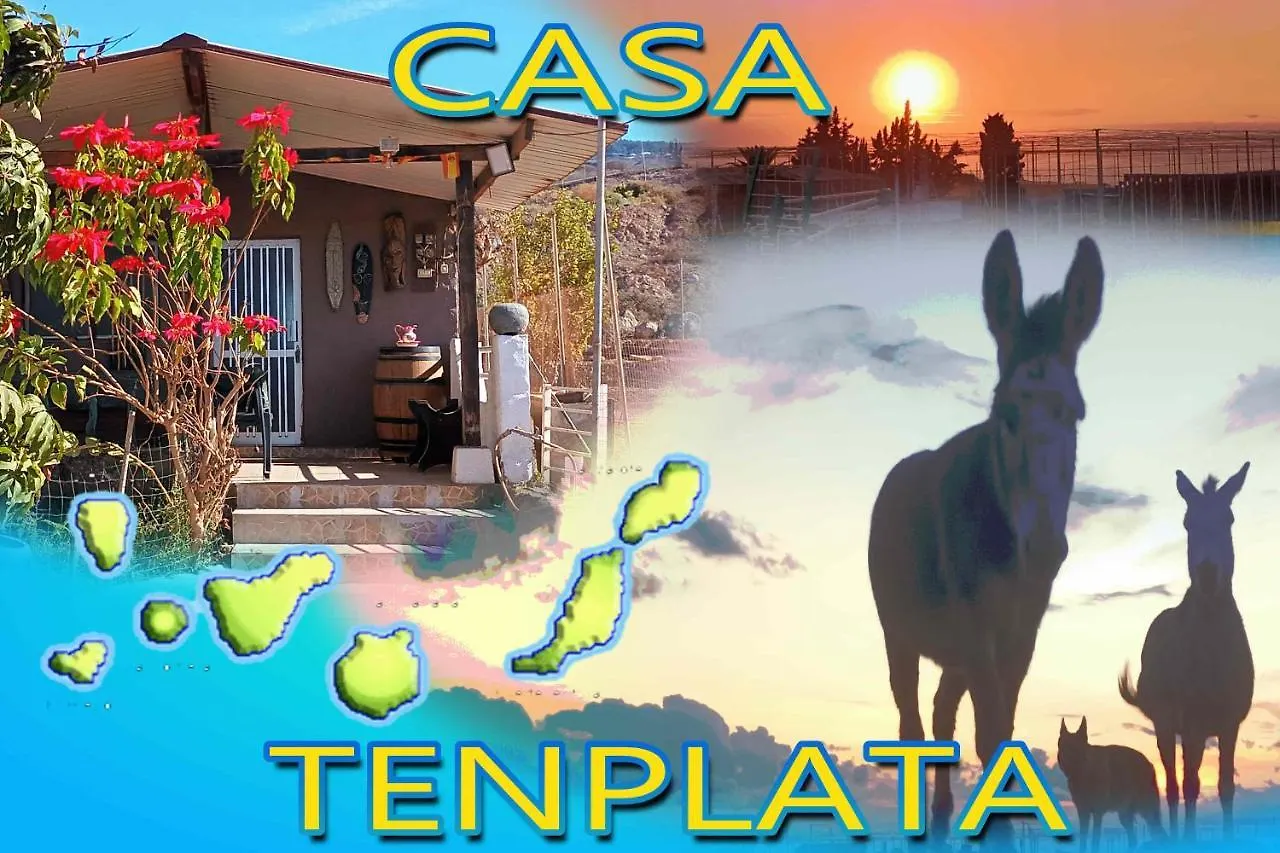 Tenplata Tijoco de Abajo
